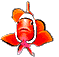 Aquarium Maintenance