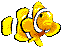 Aquarium Maintenance